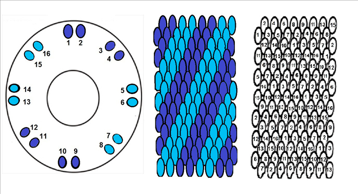 אם תמקמו 2 זוגות מאותו הצבע אחד מול השני תקבלו פסים אלכסונים בעובי של 2 שורות.
ראו את המספרים בצד ימין ותוכלו לראות שהצבעים שהם מייצגים  הם אותו הדבר כמו על הדיסק. 
