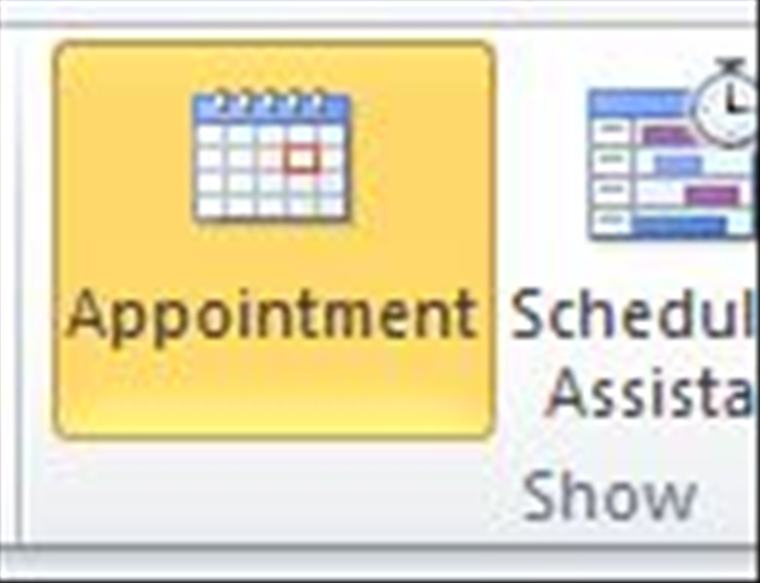 כעת שאתם יודעים באיזה שעות וימים אתם יכולים לזמן את הפגישה, חזרו למסך ה'Appointment' ע'י לחיצה על 'Appointment' בסטריפ העליון.