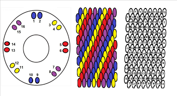 4 זוגות של צבעים מוקמו אחד מול השני על הדיסק והתוצאה היא פסים צבעוניים בעובי של שורה אחת.
שימו לב שהרצף 4,3,12,11 מופיע בפעם הראשונה, אבל בפעם השניה הרצף הוא 11,4,3,12.
דוגמא נוספת היא 6,5,14,13 והשורה הבאה של הרצף הזה היא 13,6,5,14.
אם תסתכלו בשורות הבאות אתם תשימו לב לאותו הדפוס.